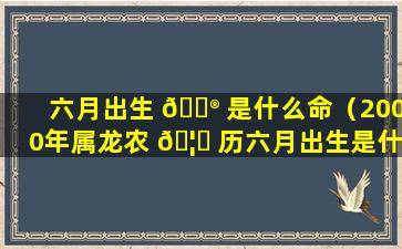 六月出生 💮 是什么命（2000年属龙农 🦋 历六月出生是什么命）